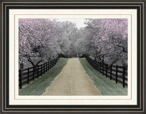 Apple Blossom Lane